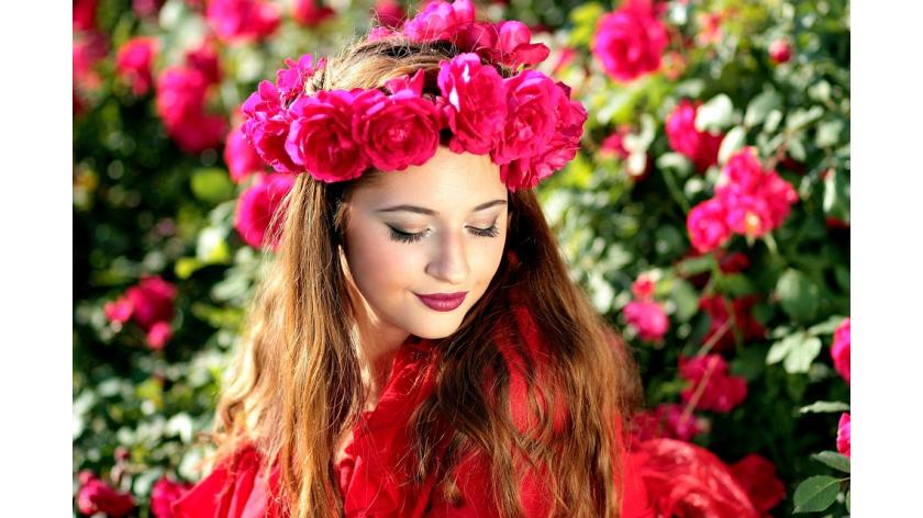 Bài học về Bông hồng nhung kiêu sa