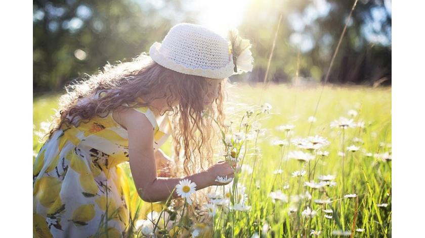 Hoa tươi có tác dụng kì diệu làm tăng năng lượng và khơi dậy sức mạnh tinh thần không phải ai cũng biết