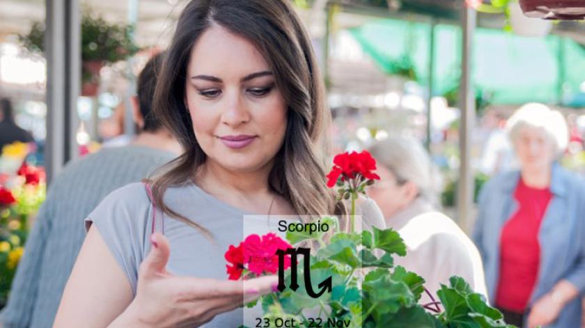 Loài hoa tương sinh cực hợp với cung hoàng đạo Scorpio – Cung Bọ cạp hay cung Thần Nông (23/10 - 21/11)