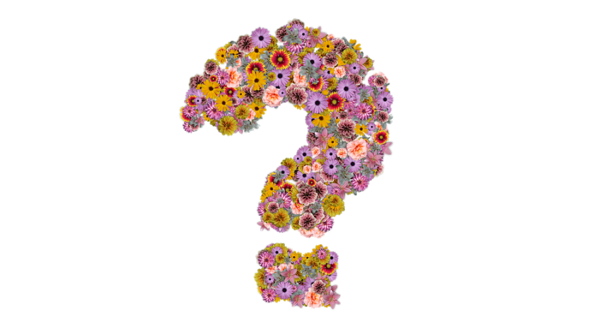 Chia sẻ cách tìm cửa hàng điện hoa tốt nhất tại Hà Nội