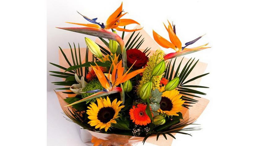 Những điều nên và không nên khi tặng hoa cho nam giới mà bạn cần phải biết