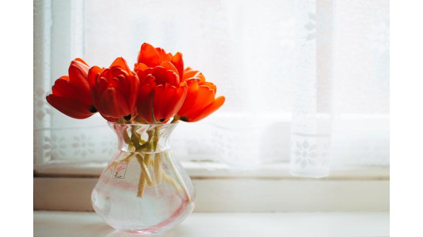 Hỏi Đáp Giúp bạn có những ý tưởng hoa đẹp trang trí nhà hay và hiệu quả nhất