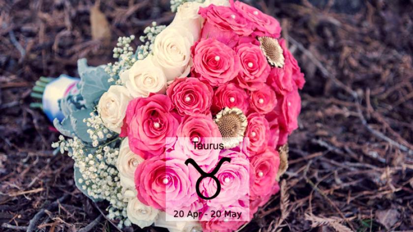 Loài hoa tương sinh cực hợp với cung hoàng đạo Taurus - Cung Kim Ngưu (20/4 – 20/5)