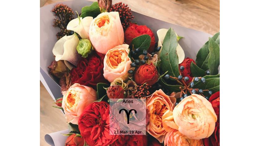 Loài hoa tương sinh cực hợp với cung hoàng đạo Aries - Cung Bạch dương (21/3 – 19/4)