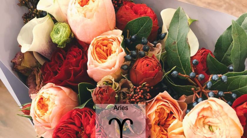 Loài hoa tương sinh cực hợp với cung hoàng đạo Aries - Cung Bạch dương (21/3 – 19/4)