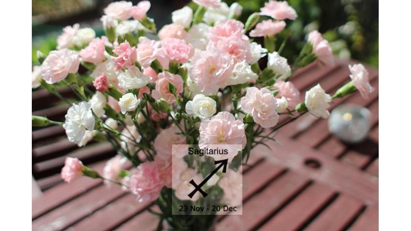 Loài hoa tương sinh cực hợp với cung hoàng đạo Sagittarius - cung Nhân Mã (22/11 - 21/12)