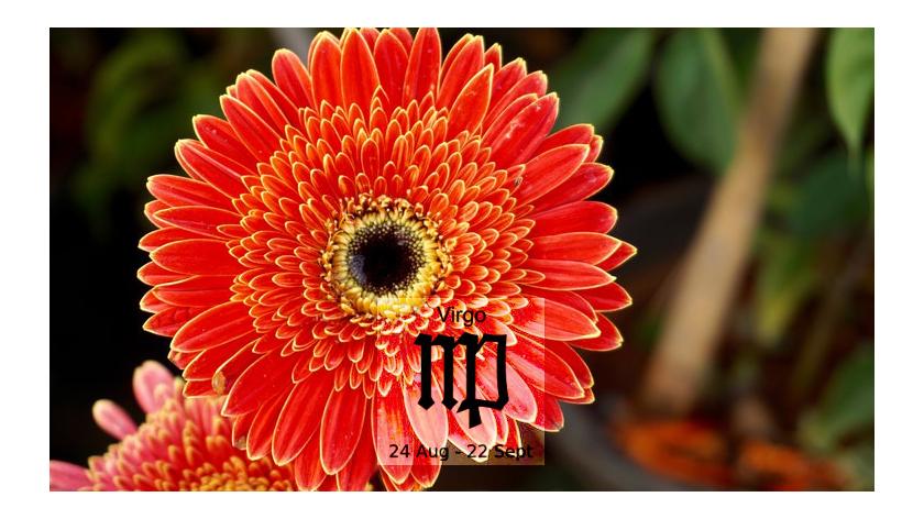 Loài hoa tương sinh cực hợp với cung hoàng đạo Virgo - Cung Xử nữ (23/8-22/9)