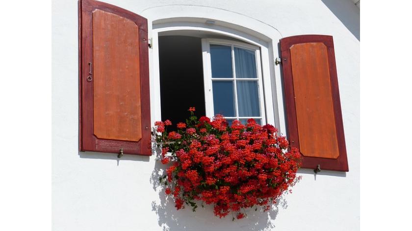 10 loại hoa có thể giúp bạn bán được nhà, bất động sản nhanh như một cơn gió