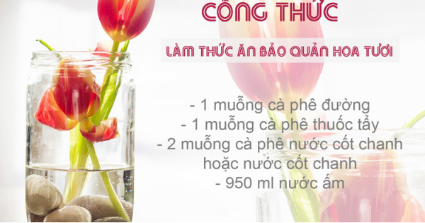 Tự làm thức ăn hữu cơ cho hoa siêu dễ dàng, giúp bảo quản hoa tươi cắm bình được lâu hơn