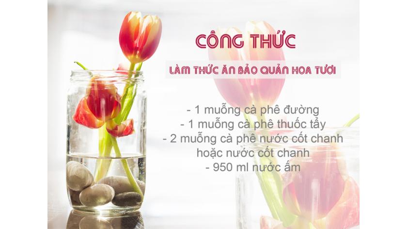 Tự làm thức ăn hữu cơ cho hoa siêu dễ dàng, giúp bảo quản hoa tươi cắm bình được lâu hơn