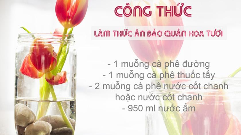 Tự làm thức ăn hữu cơ cho hoa siêu dễ dàng, giúp bảo quản hoa tươi cắm bình được lâu hơn