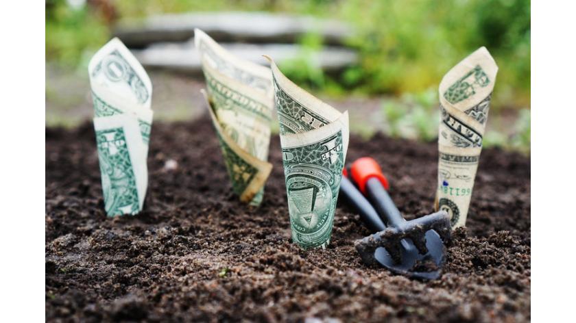 4 lỗi phổ biến người làm vườn, trồng cây thường mắc phải và các cách để khắc phục để có một vườn hoa đẹp như ý