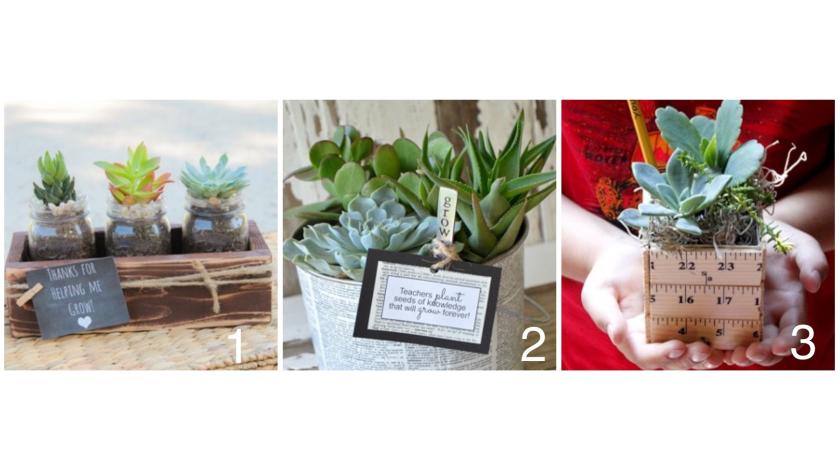 Gợi ý những ý tưởng quà tặng 20-11 cực dễ thương cho thầy cô giáo của con bạn