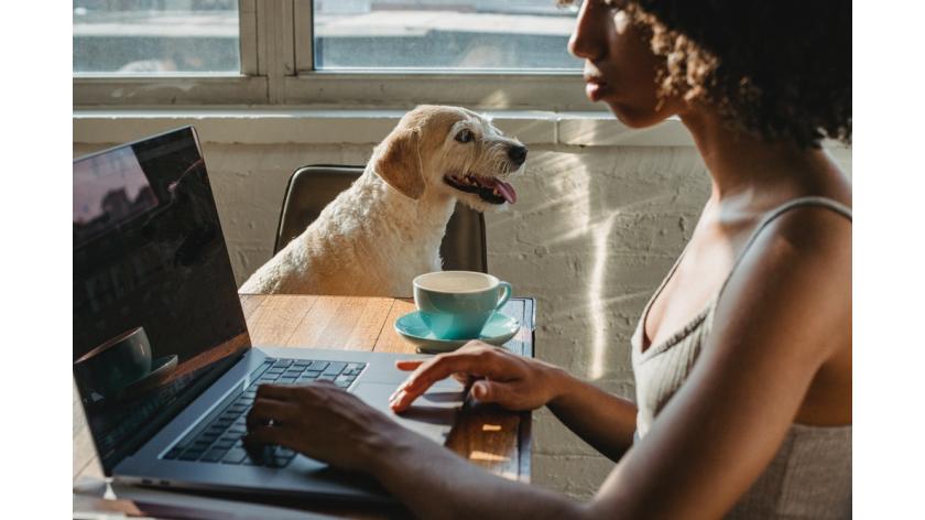 Khơi gợi nguồn cảm hứng tích cực khi làm việc tại nhà Work from home thời Covid?