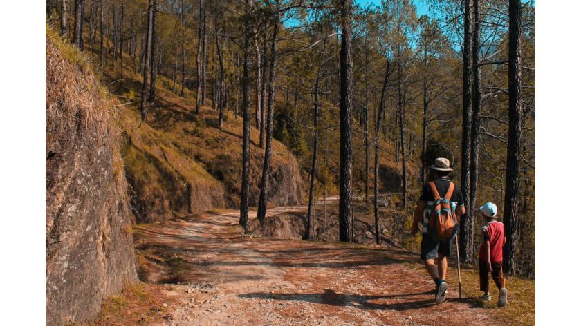 Những điều cần lưu ý khi Đi bộ đường dài với trẻ em