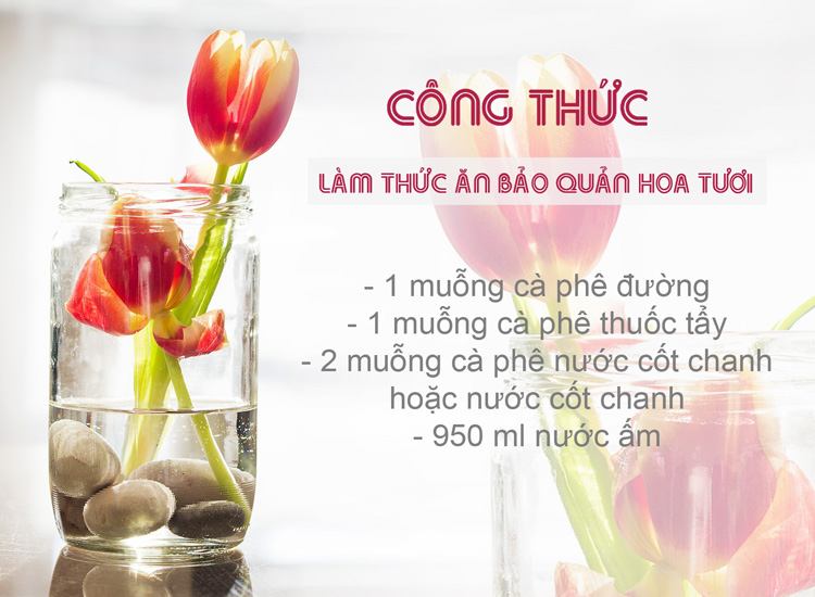 Công thức làm nước bảo quản hoa tươi lâu